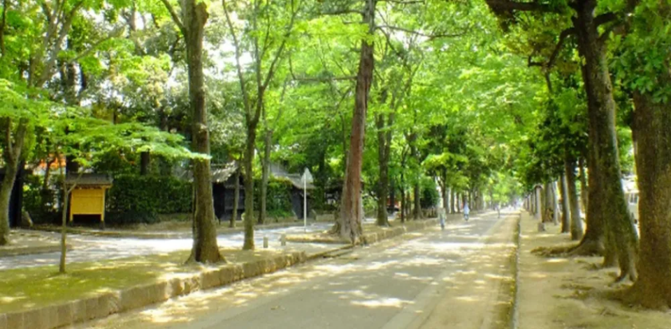 氷川参道